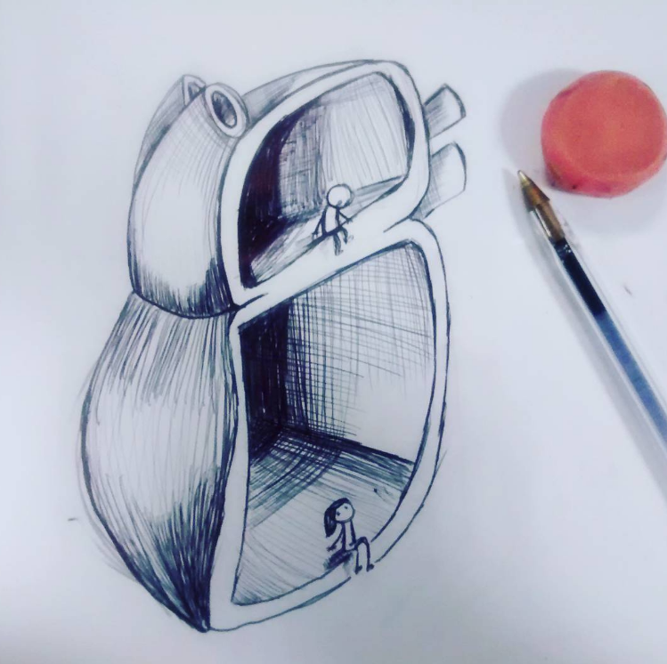 Corazón partido Anatomía