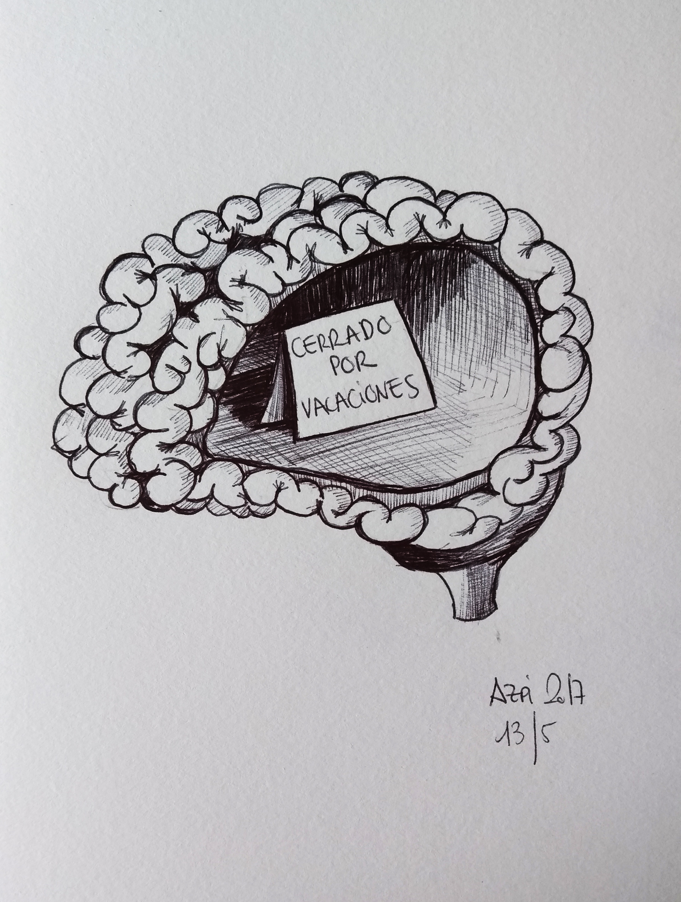 CEREBRO_ANATOMIA_ANA_AZPI