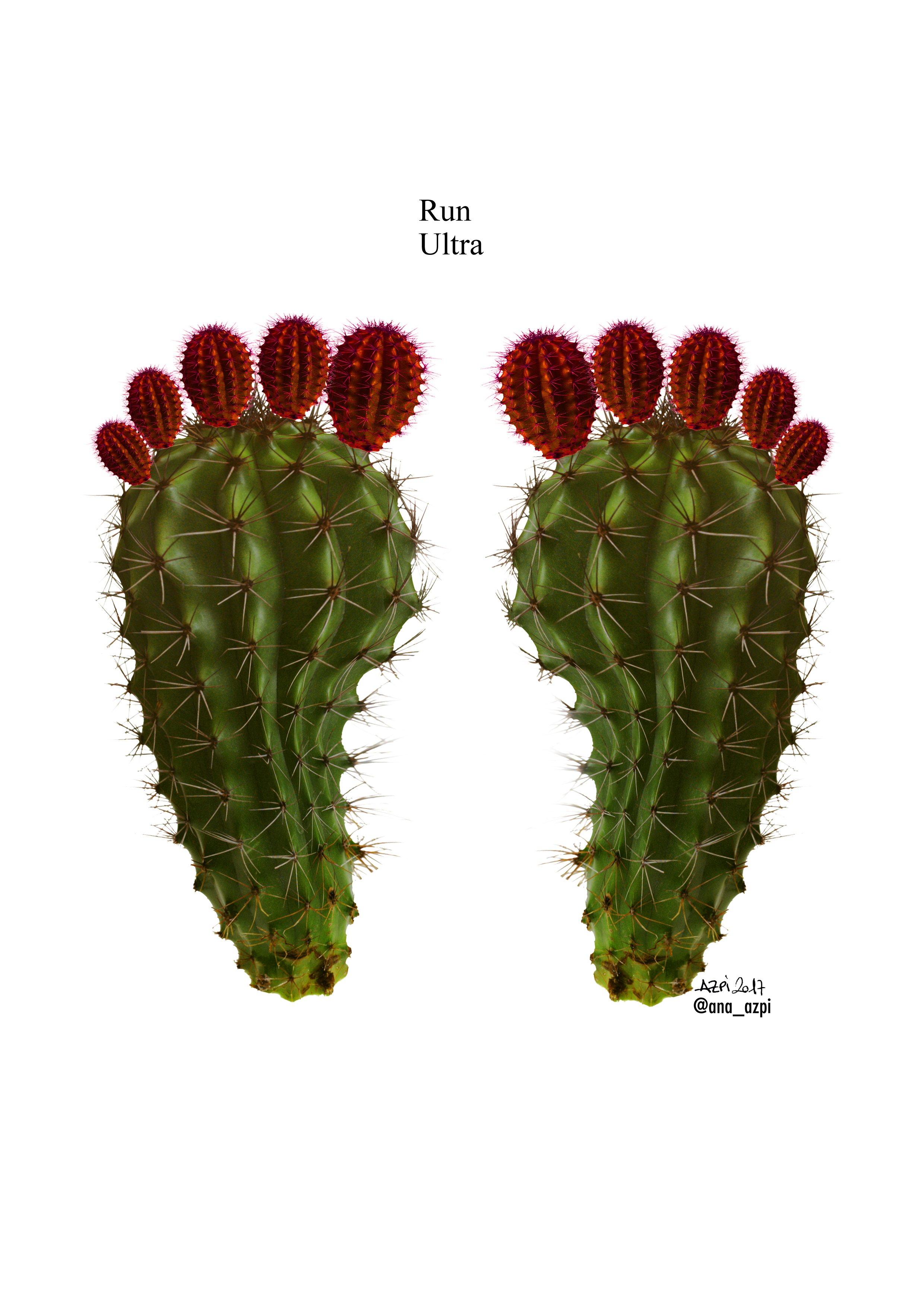 cactus_ultra_run