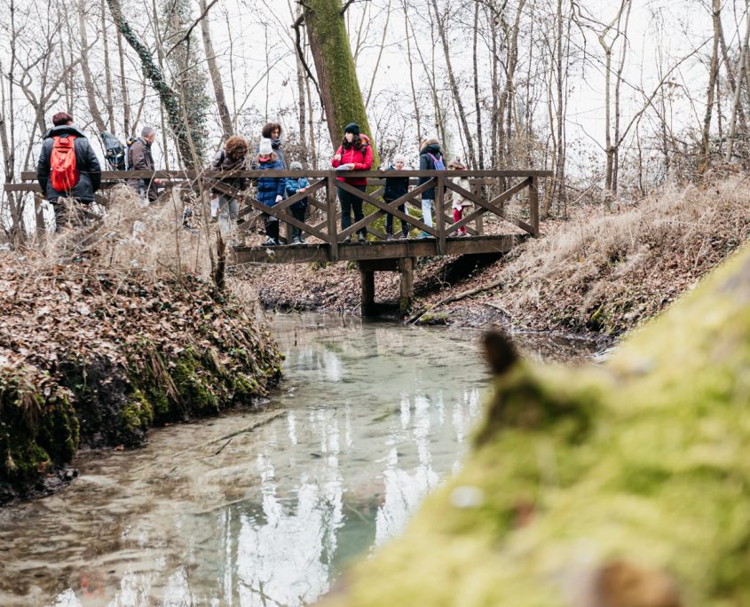 Attività per famiglie-Turismo naturalistico