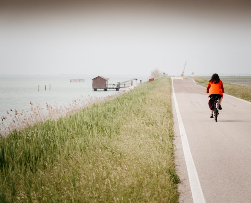 Escursioni in bici-Turismo naturalistico